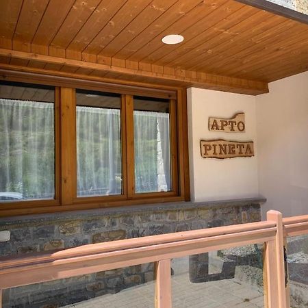 Apartamento Pineta Bielsa Bagian luar foto
